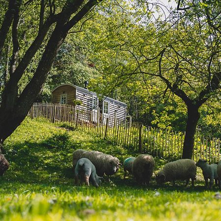 Somerset Shepherds Huts Hotel Winsham Exterior photo